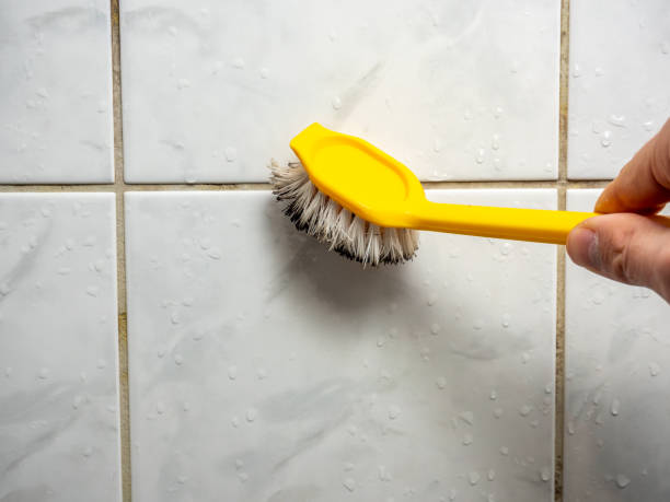 Best Emergency Mold Removal  in Hazlehurst, GA