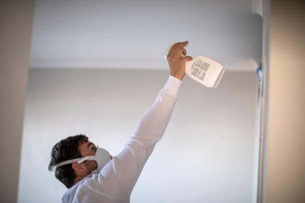 Best Mold Damage Repair  in Hazlehurst, GA
