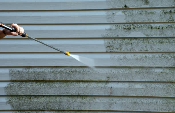 Best Black Mold Removal  in Hazlehurst, GA