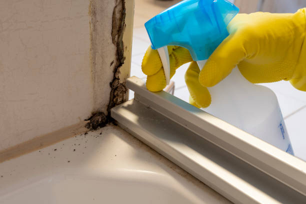 Best Office Mold Removal Services  in Hazlehurst, GA
