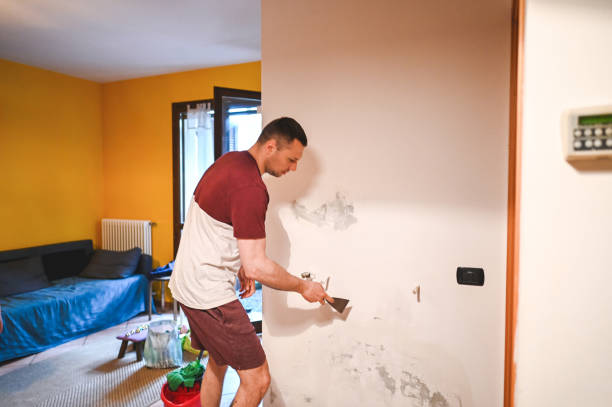 Best Residential Mold Removal  in Hazlehurst, GA