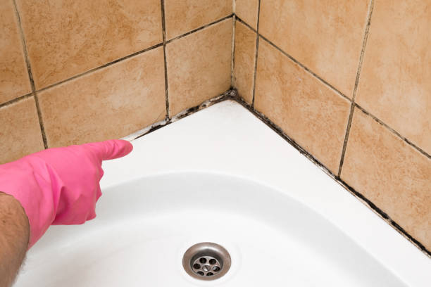 Best Crawl Space Mold Removal  in Hazlehurst, GA